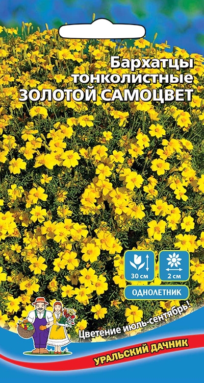 Бархатцы тонколистные Золотой Самоцвет