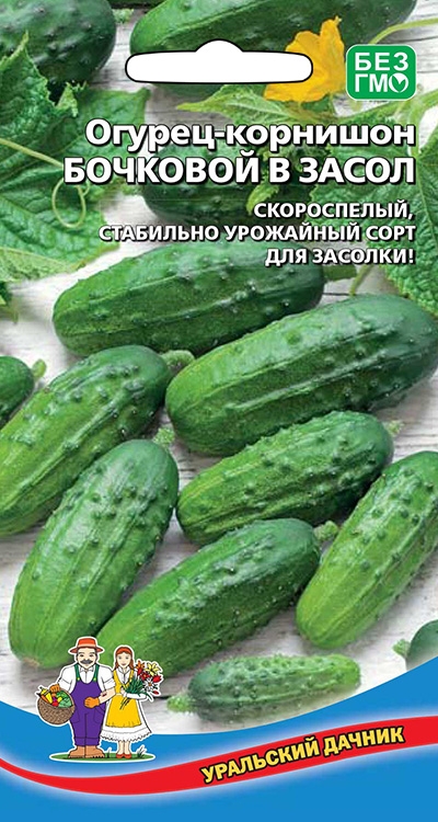 Огурец Бочковой в Засол - корнишон