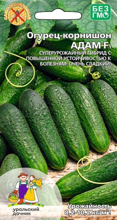 Огурец Адам - корнишон F1