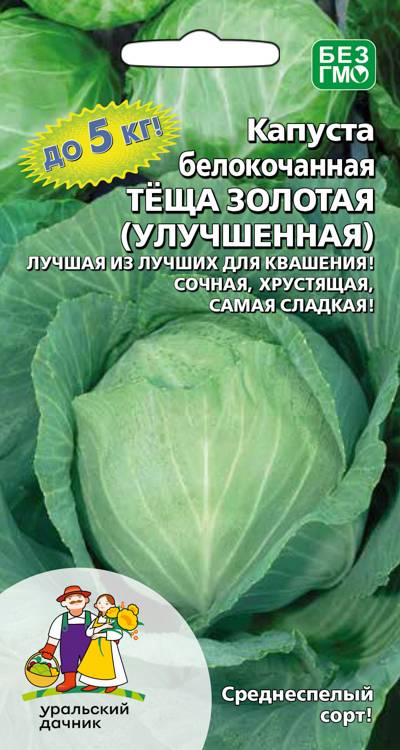 Капуста белокочанная Теща золотая (улучшенная)