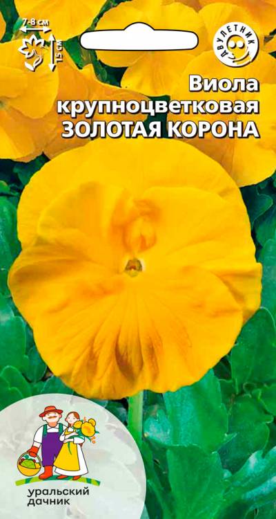 Виола Золотая корона - крупноцветковая