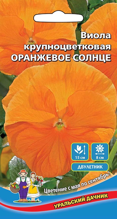 Виола Оранжевое Солнце - крупноцветковая