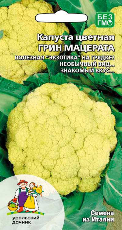Капуста цветная Грин Мацерата