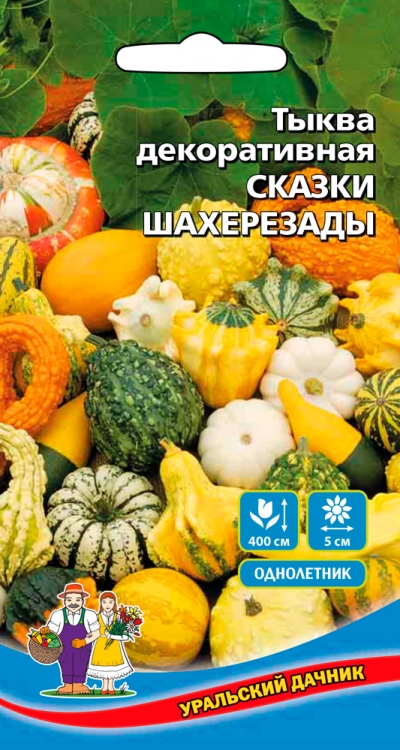 Тыква Сказки Шахрезады - декоративная