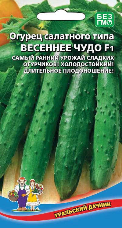 Огурец Весеннее чудо F1