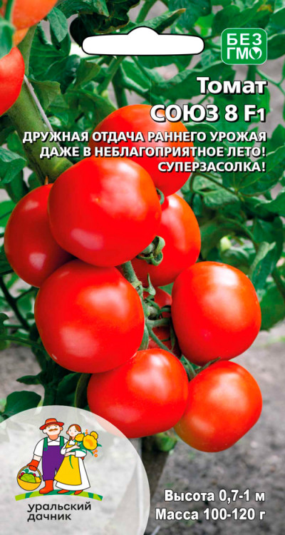 Томат Союз 8 Р (низкорослый, масса 110-130 г, плоско-округлый)