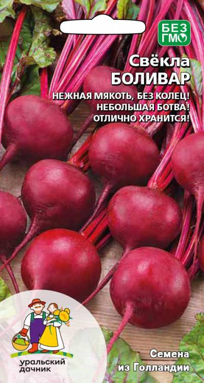 Свекла Боливар
