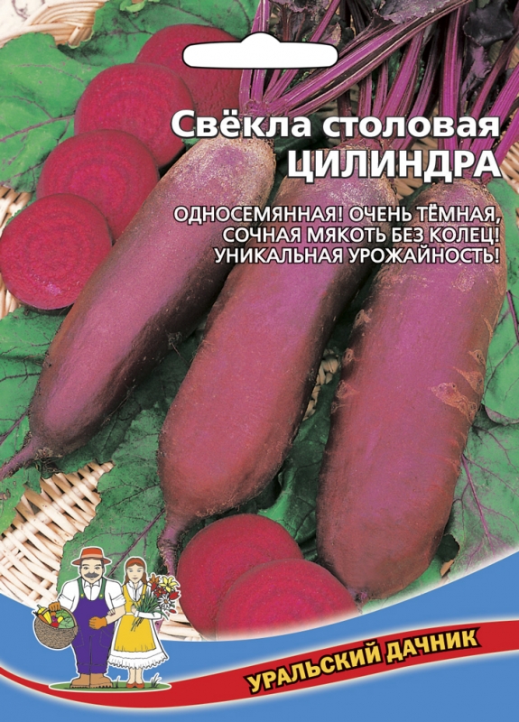 Свекла Цилиндра - столовая