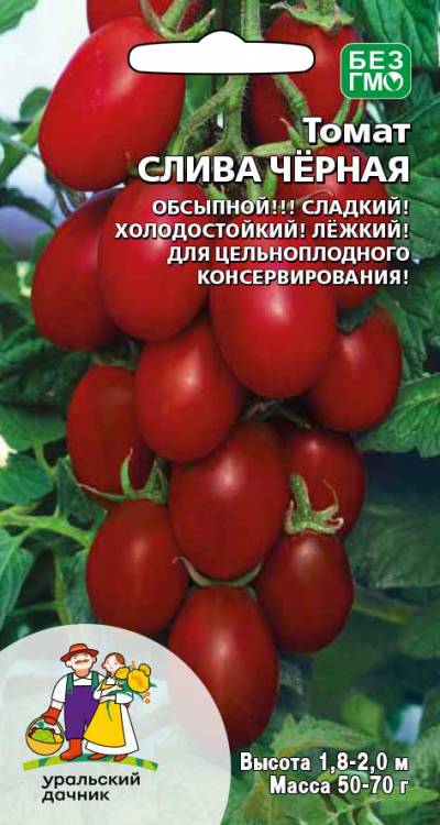 Томат Слива чёрная