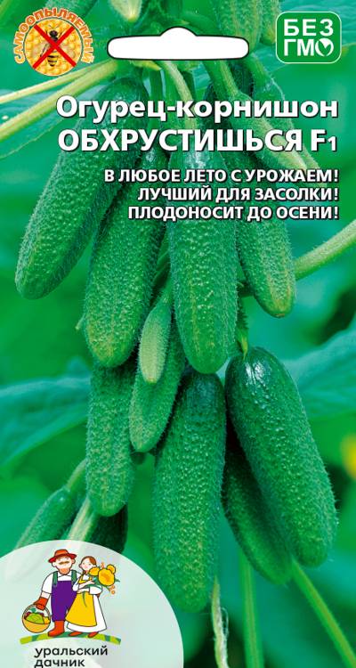 Огурец Обхрустишься - корнишон F1