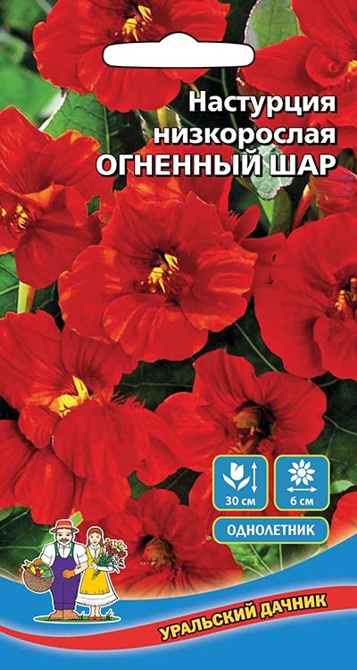 Настурция низкорослая - Огненый Шар