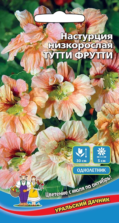 Настурция низкорослая Тутти фрутти