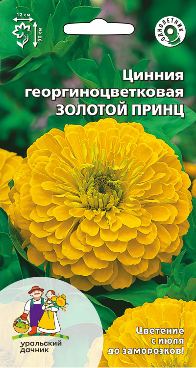 Цинния георгиноцветковая Золотой принц