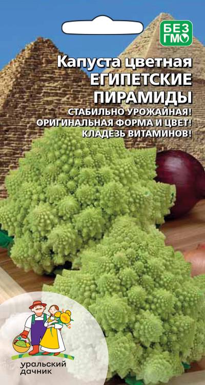 Капуста цветная Египетские Пирамиды