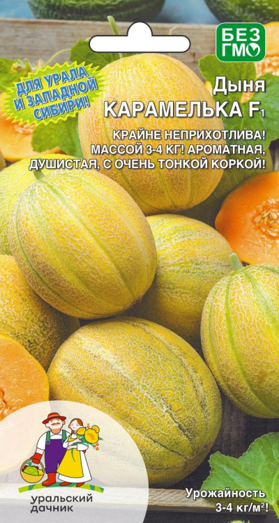 Дыня Карамелька F1