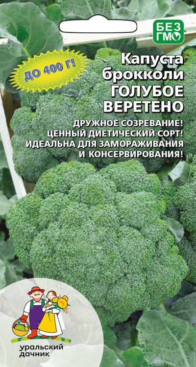Капуста брокколи Голубое веретено