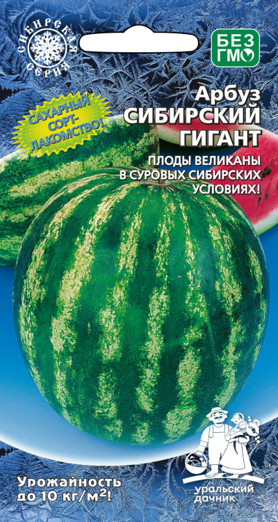 Арбуз Сибирский Гигант (Великолепный, холодостойкий, стабильно урожайный, лёжкий)