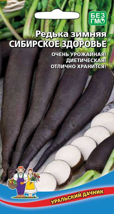 Редька Сибирское Здоровье зимняя