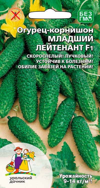Огурец Младший лейтенант - корнишон F1