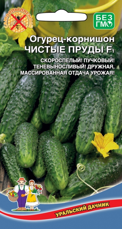 Огурец Чистые пруды - корнишон F1
