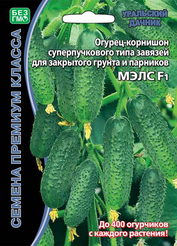 Огурец Мэлс F1®