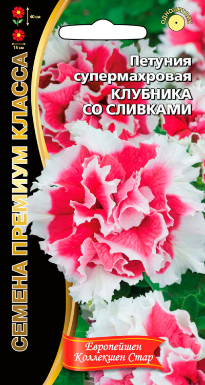 Петуния Клубника Со Сливками (Супермахровая, красные с белой окантовкой)
