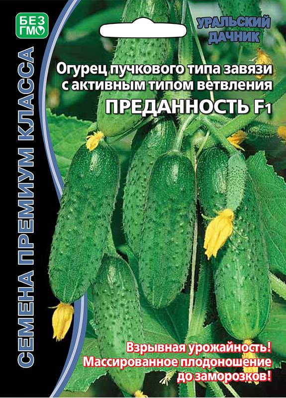 Огурец Преданность F1