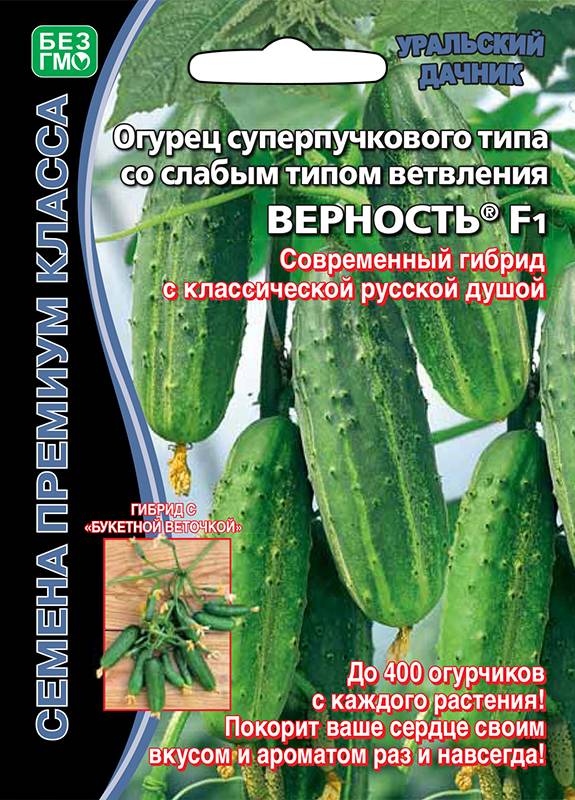 Огурец Верность F1 ®