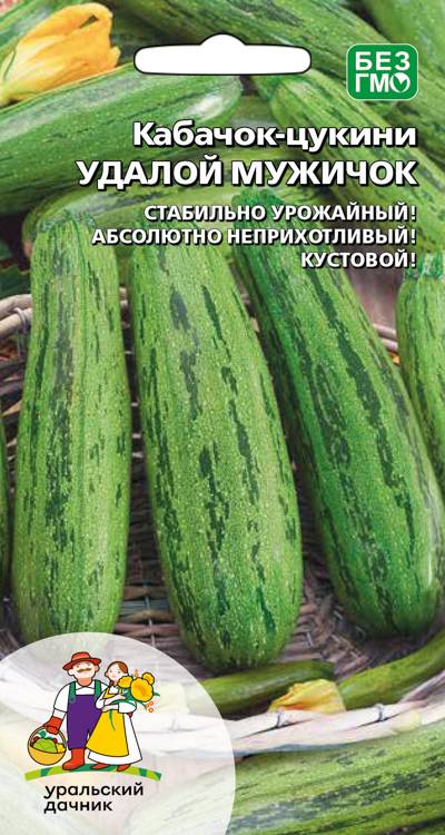 Кабачок Удалой мужичок