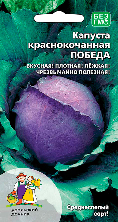 Капуста краснокочанная Победа