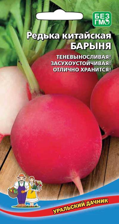 Редька Барыня - китайская