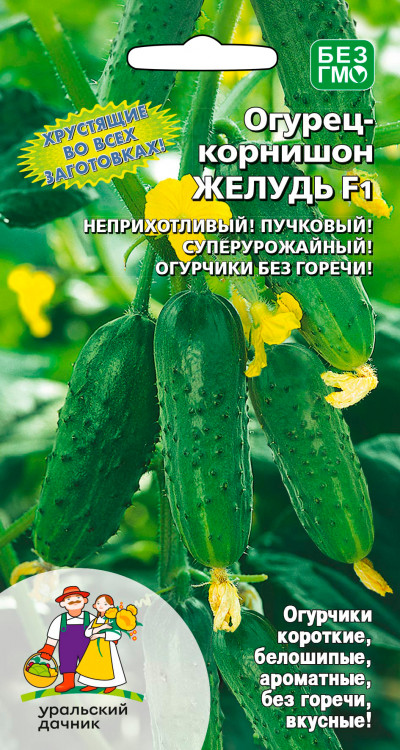 Огурец Желудь - корнишон F1