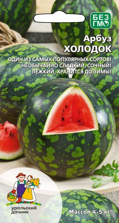 Арбуз Холодок