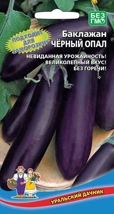 Баклажан Черный Опал