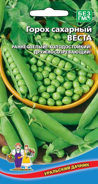 Горох Веста
