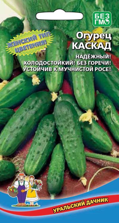 Огурец Каскад