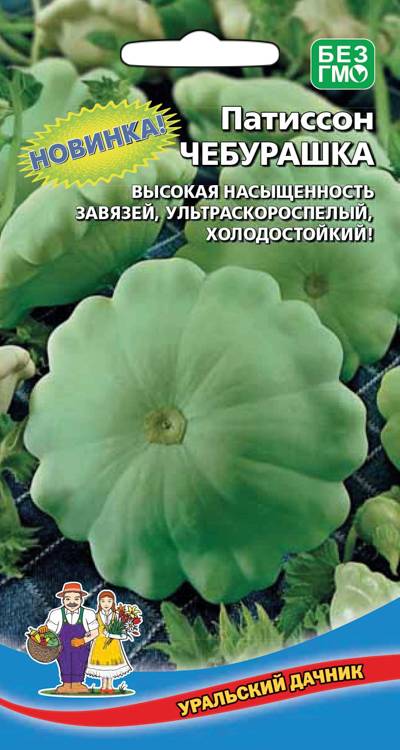 Патиссон Чебурашка