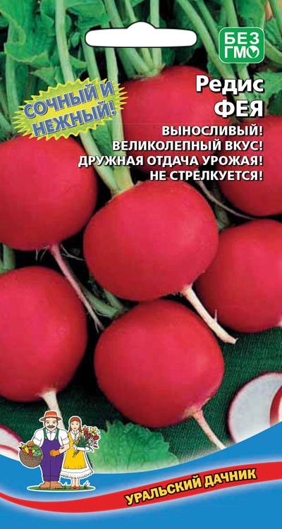 Редис Фея