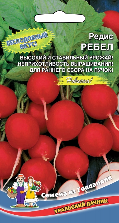 Редис Ребел