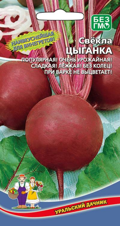 Свекла Цыганка