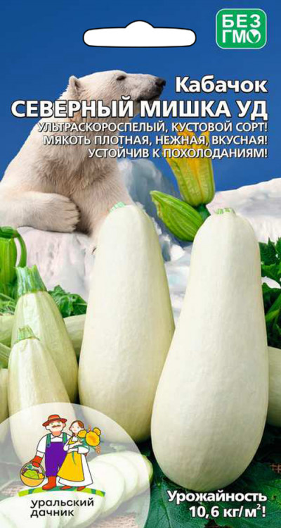 Кабачок Северный Мишка УД