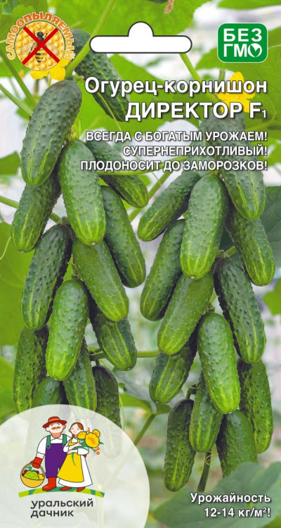 Огурец Директор F1