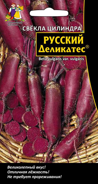 Свекла Русский деликатес - цилиндра