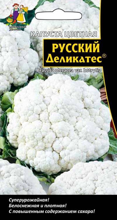 Капуста цв Русский деликатес® (Головки округлые, плотные, массой до 1 кг, белоснежные, отличног