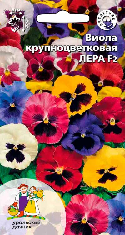 Виола Лера - крупноцветковая F2