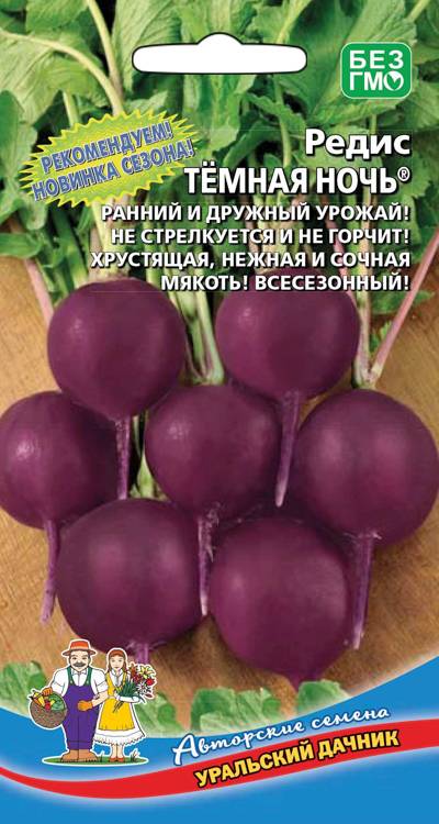 Редис Темная ночь