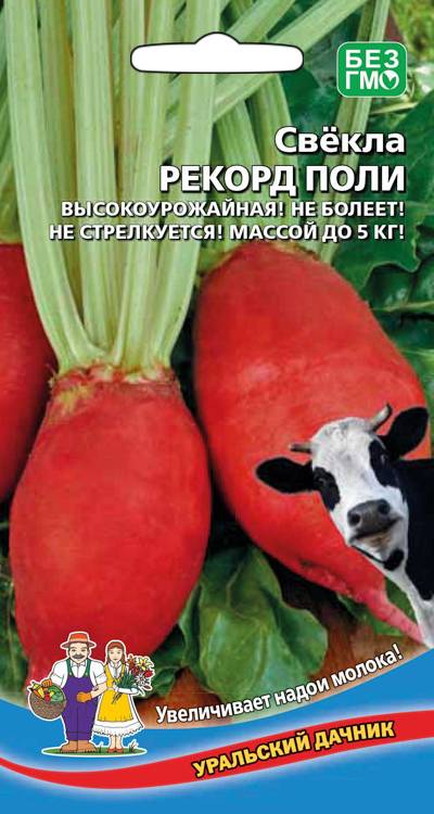 Свекла кормовая Рекорд Поли