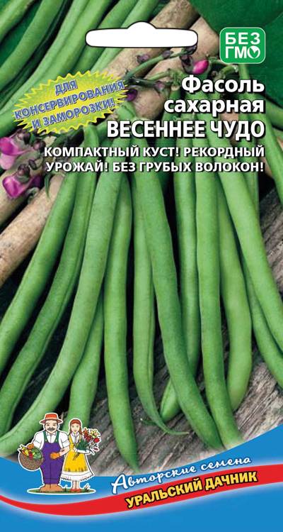 Фасоль Весеннее чудо - сахарная
