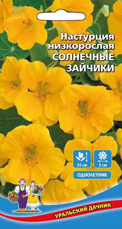 Настурция низкорослая Солнечные Зайчики