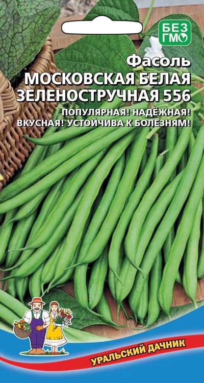 Фасоль Московская белая зеленостручная 556